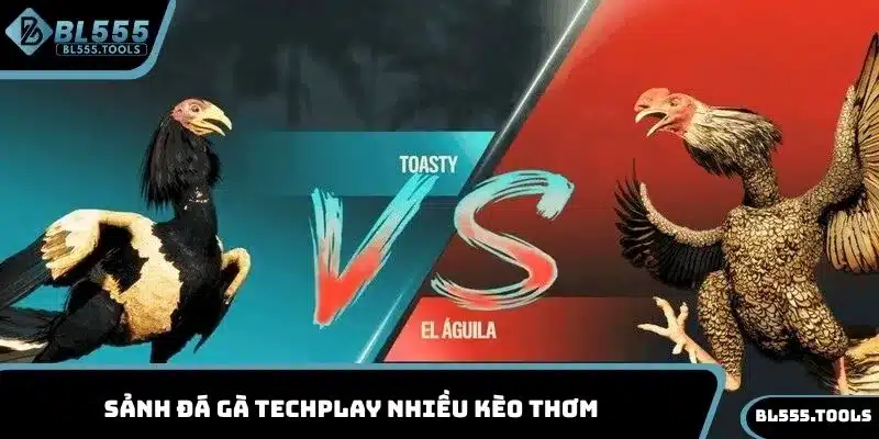 Sảnh đá gà Techplay nhiều kèo thơm