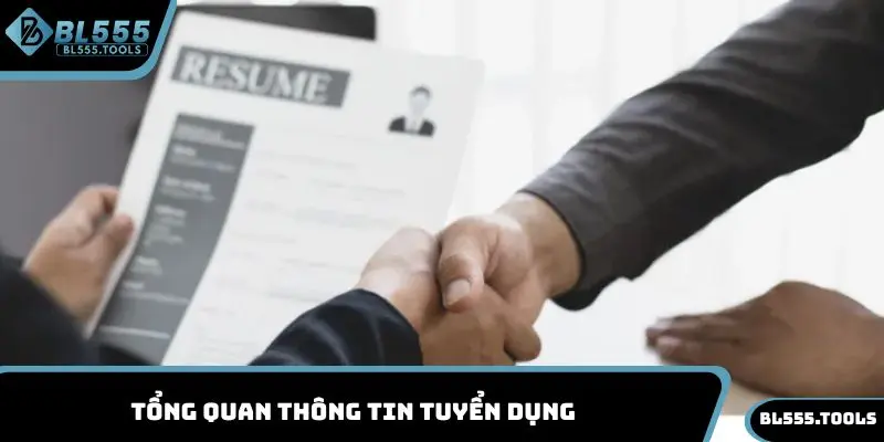 Tổng quan thông tin tuyển dụng BL555